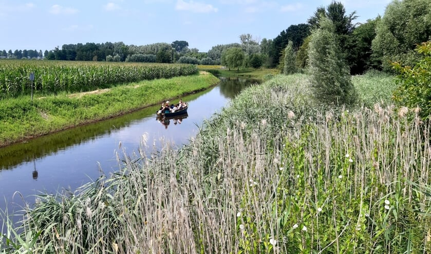 <p>De fluisterboot voert sinds deze zomer over de Aa.</p>