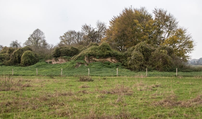 <p>Om de ruïne van het Genneperhuis te consolideren is archeologisch sleuvenonderzoek nodig. </p>