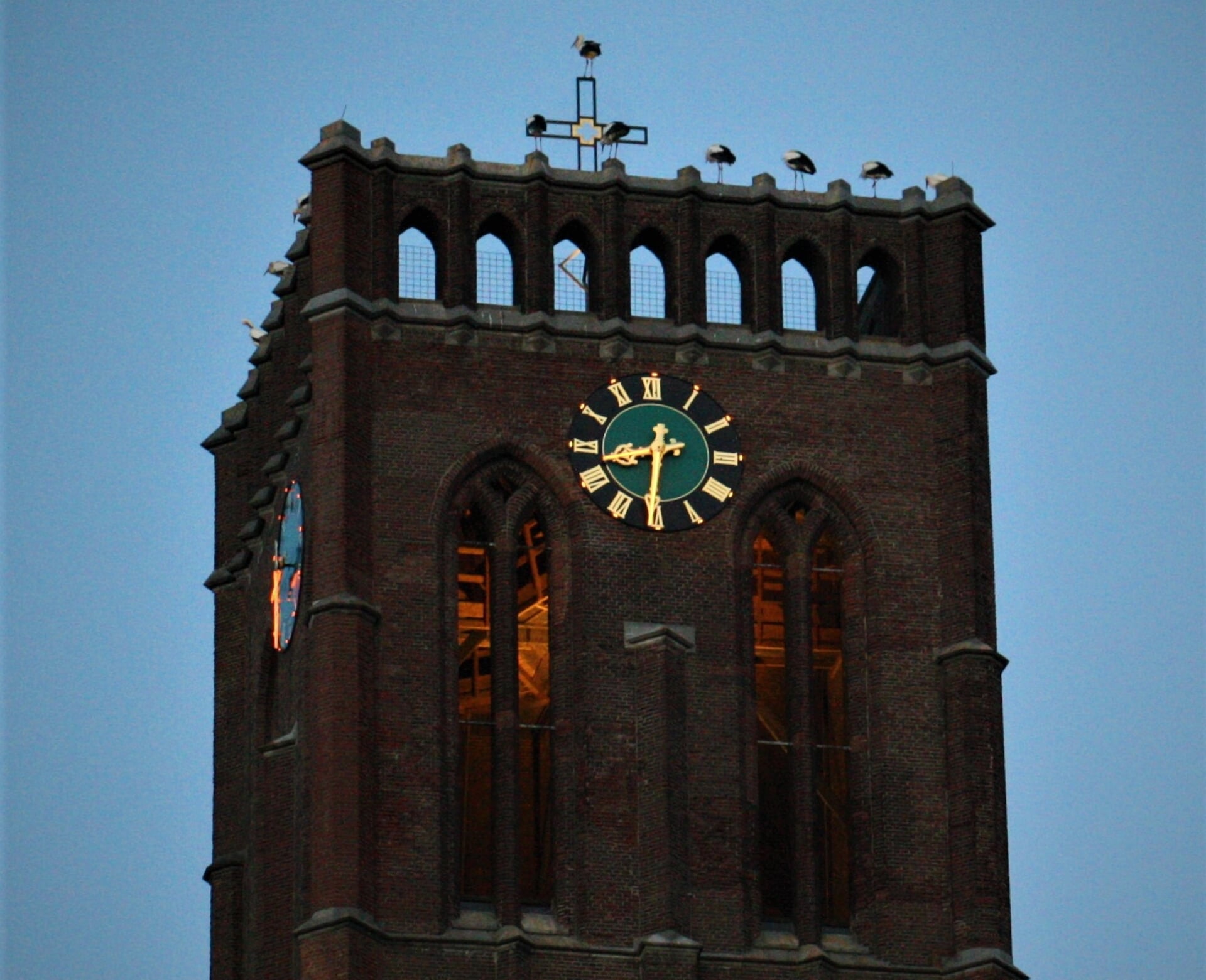 Ooievaars op de Grote Kerk in Oss. (Foto: Wim van Dorst)
