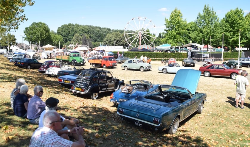 Het Zotte Zomer Festival in Aldendrielpark in Mill.  