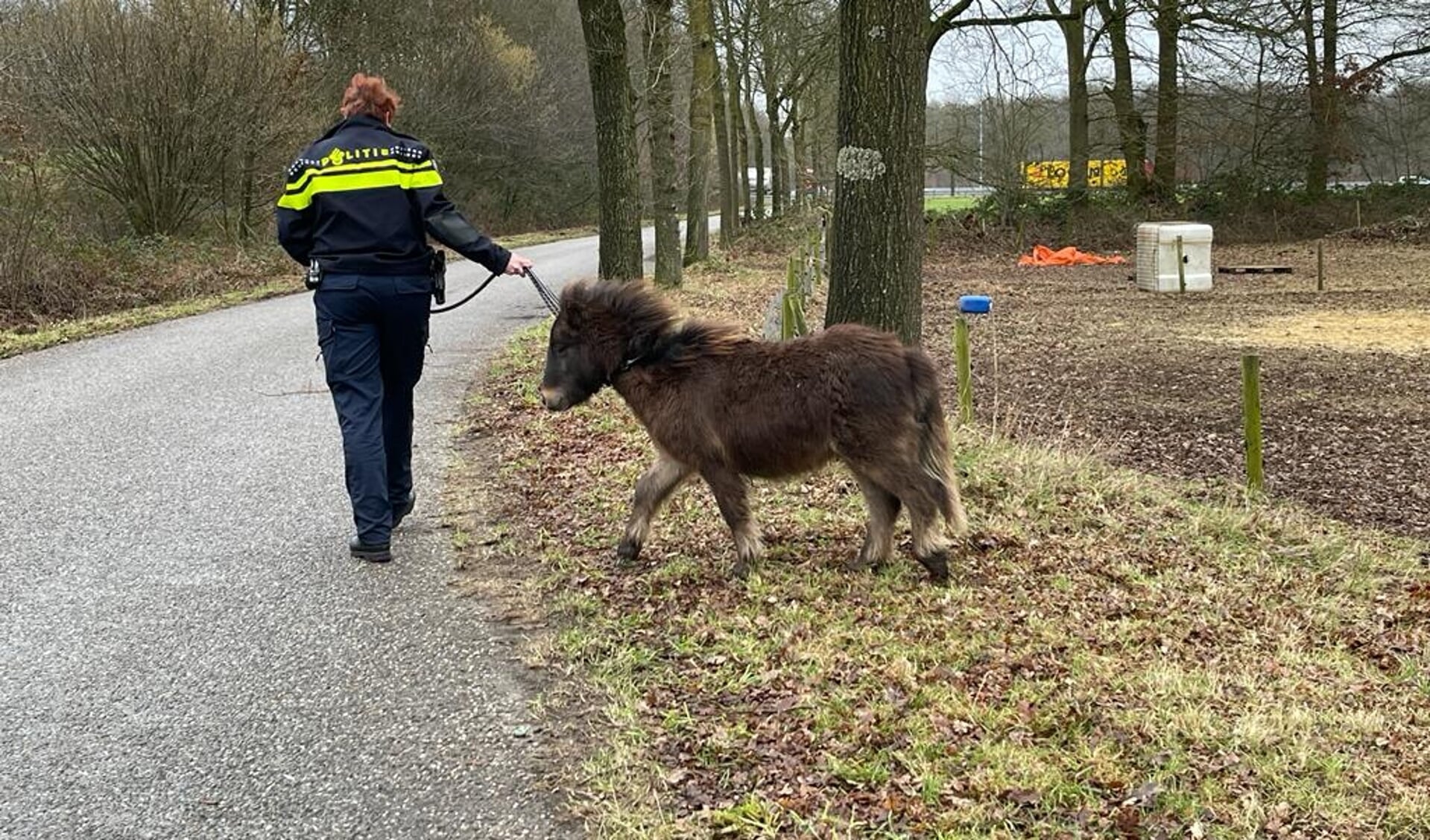 Een loslopend paardje kon in Cuijk door de politie worden gevangen.