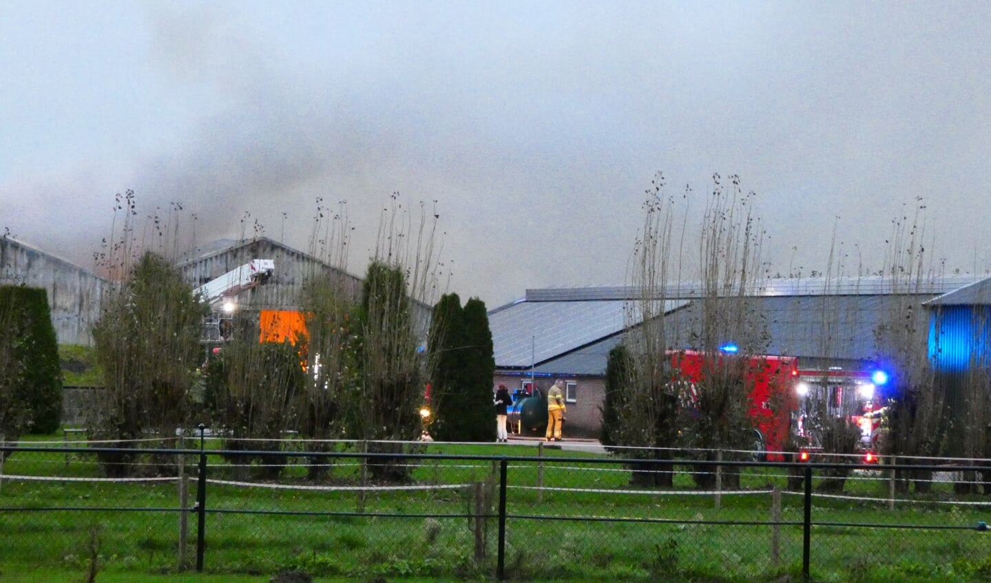 Grote brand in geitenstallen Vinkel