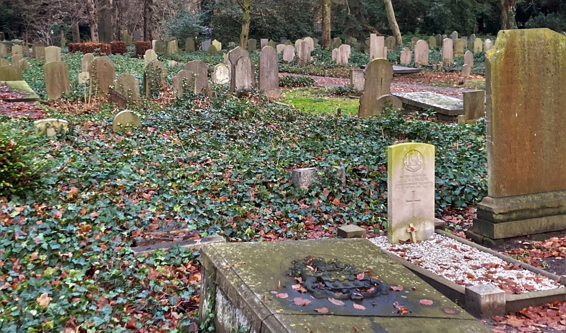 De serie over begraafplaats Orthen is tot een einde gekomen. Vanaf volgende week volgt een serie over andere historische Bosschenaren.