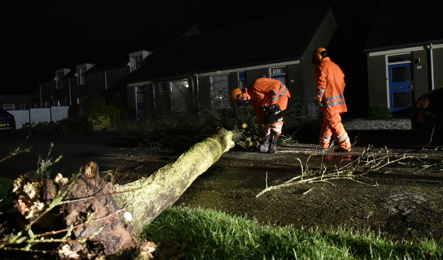 Omgevallen boom in Cuijk.