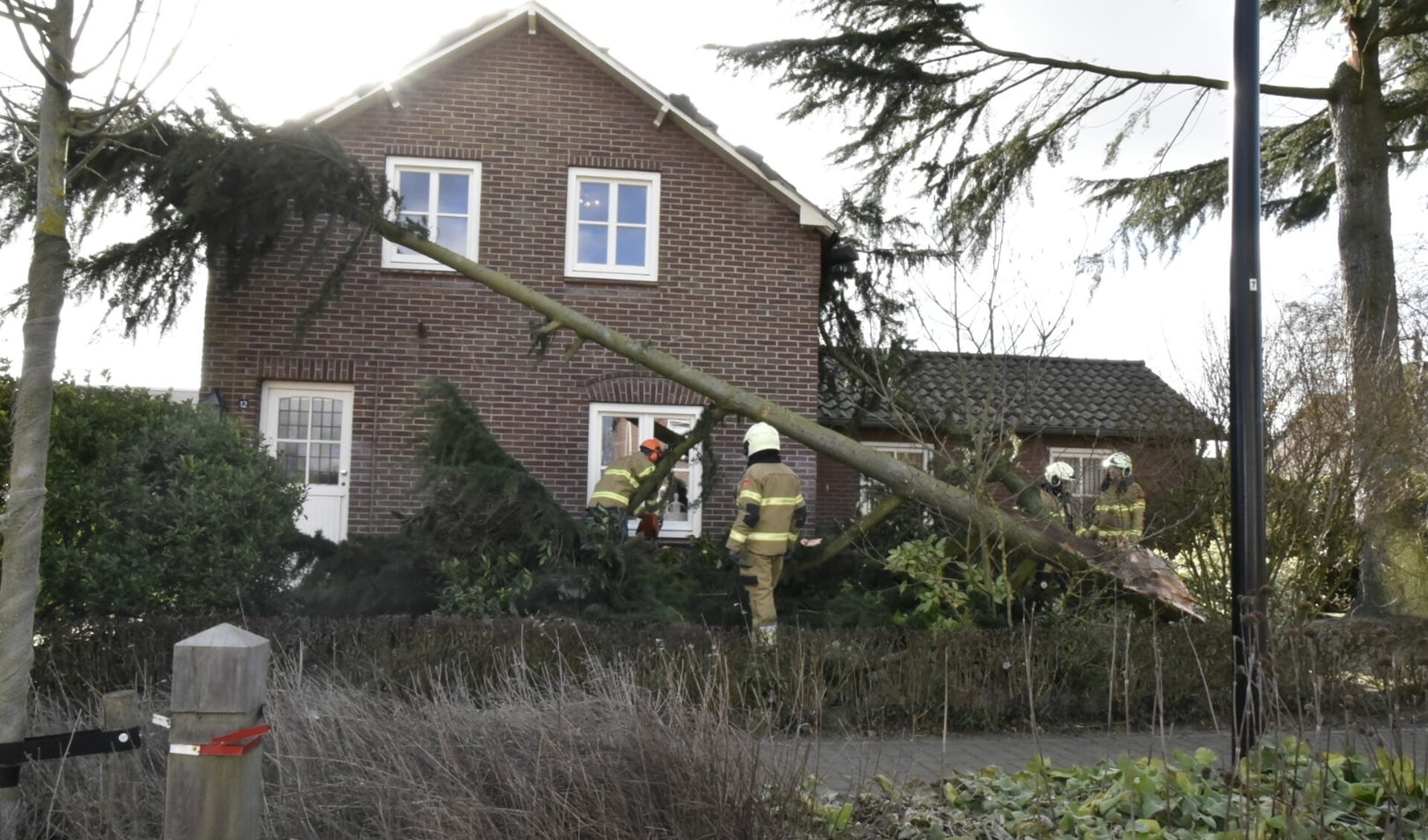 In Overloon is een grote tak van een boom deels op een woning gevallen.