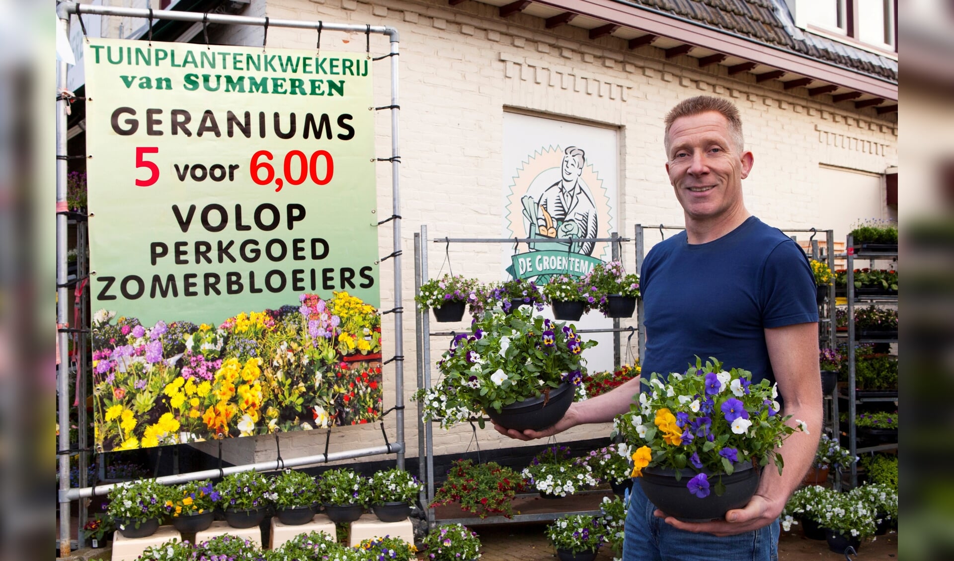 Bij Van Summeren krijg je nu vijf geraniums voor slechts zes euro.