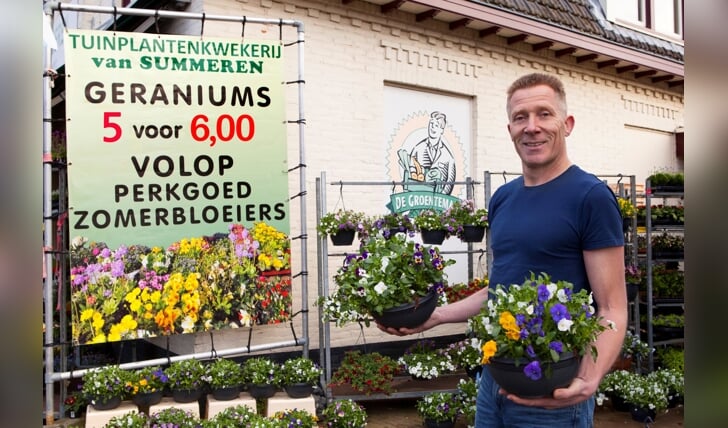 Bij Van Summeren krijg je nu vijf geraniums voor slechts zes euro.