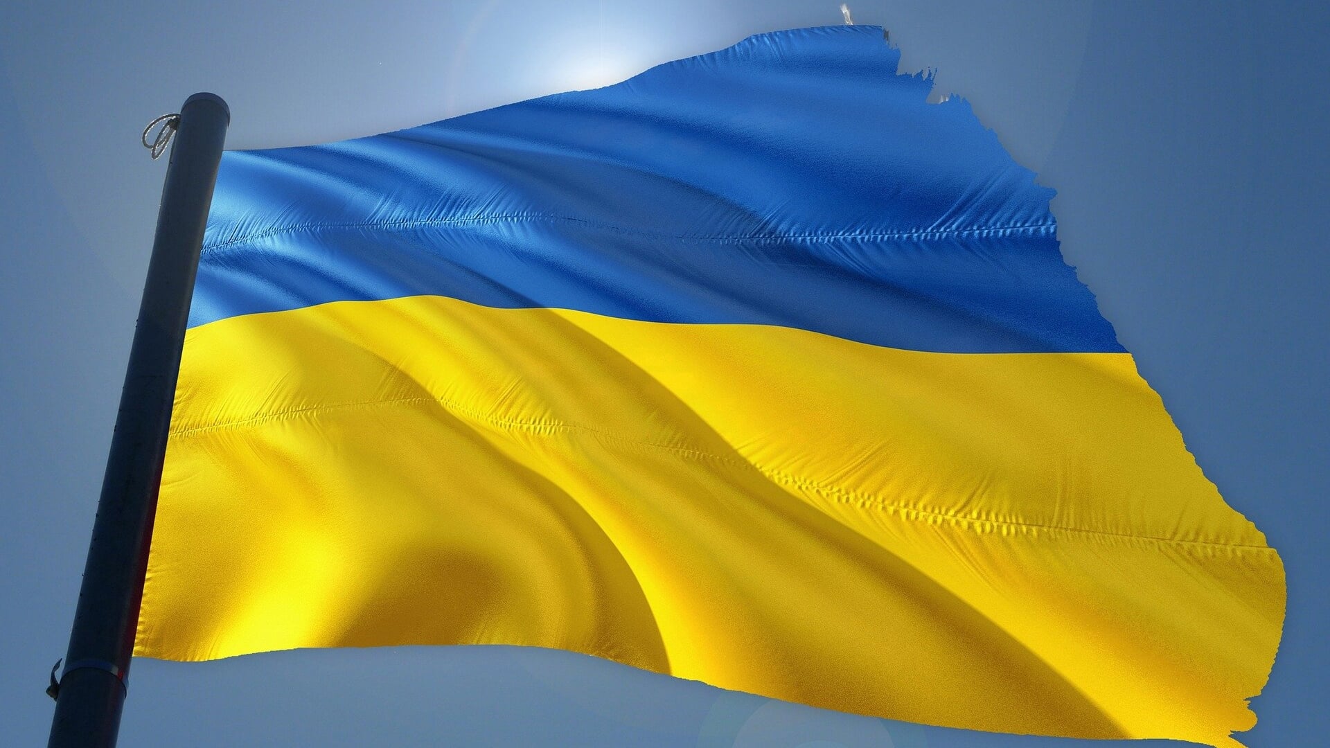 De vlag van Oekraïne.