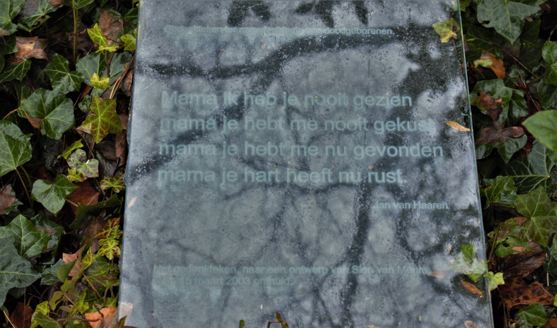 personeel Meenemen Mysterie Begraafplaats Orthen: doodgeboren kinderen lagen 'achter de heg' -  Adverteren Den Bosch | De Bossche Omroep | Krant en Online