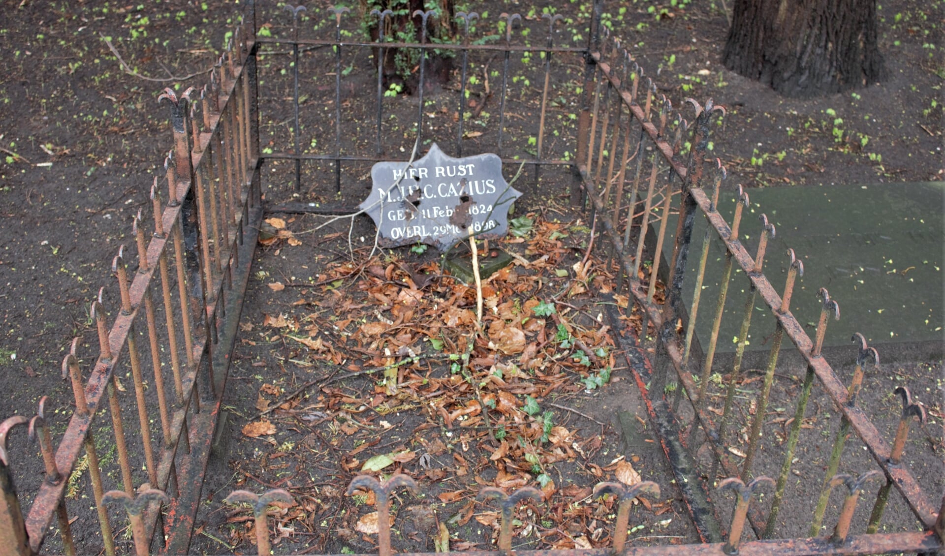 Het eenvoudige graf van Jean Henri Chretien Cazius. De laatste decennia van zijn leven was hij rechter aan het hof van Den Bosch.
