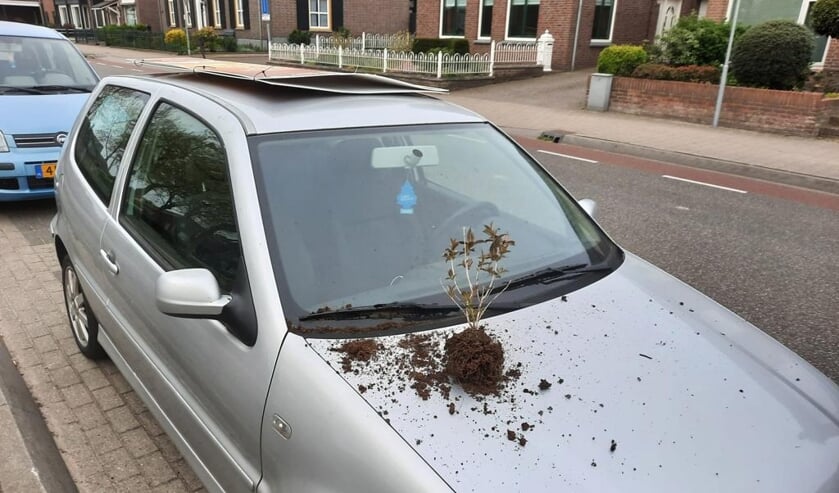 Vandalisme in en rondom het Aldendrielpark in Mill.
