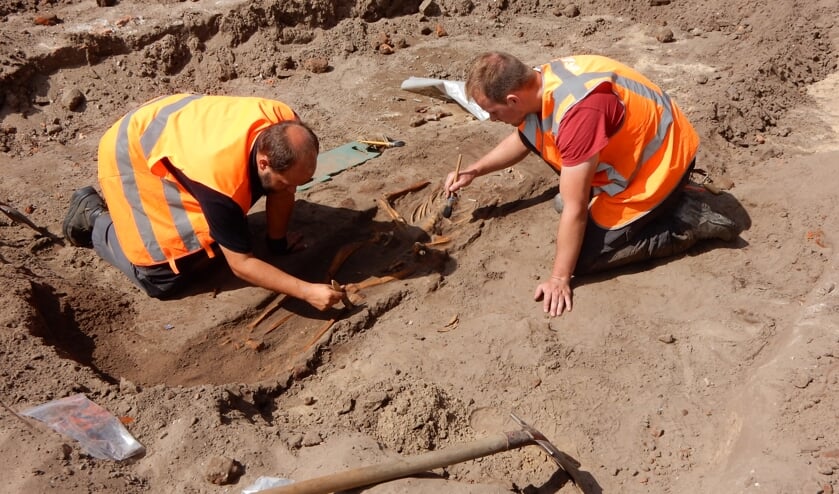 Archeologen van ADC ArcheoProjecten leggen voorzichtig een skelet bloot.                                                                          