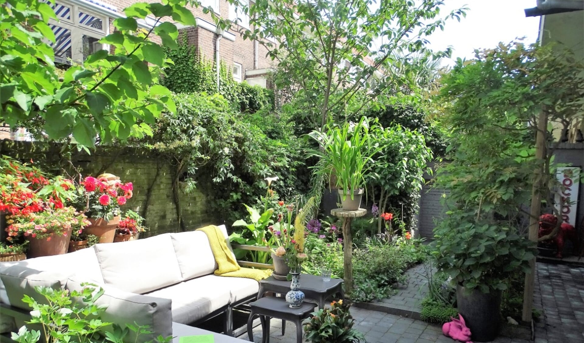 Grote én kleine tuinen achter historische panden in Den Bosch openen op zondag 19 juni hun poorten.