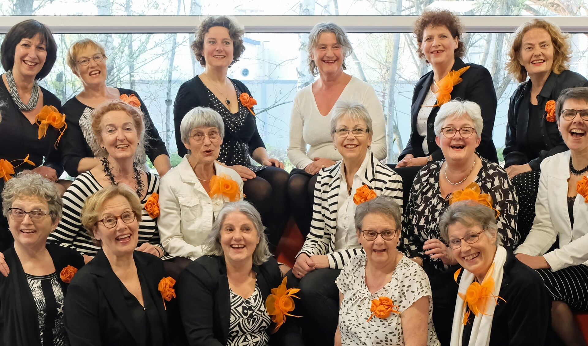 De Duketown Ladies uit Den Bosch zoeken met spoed een nieuwe dirigent.