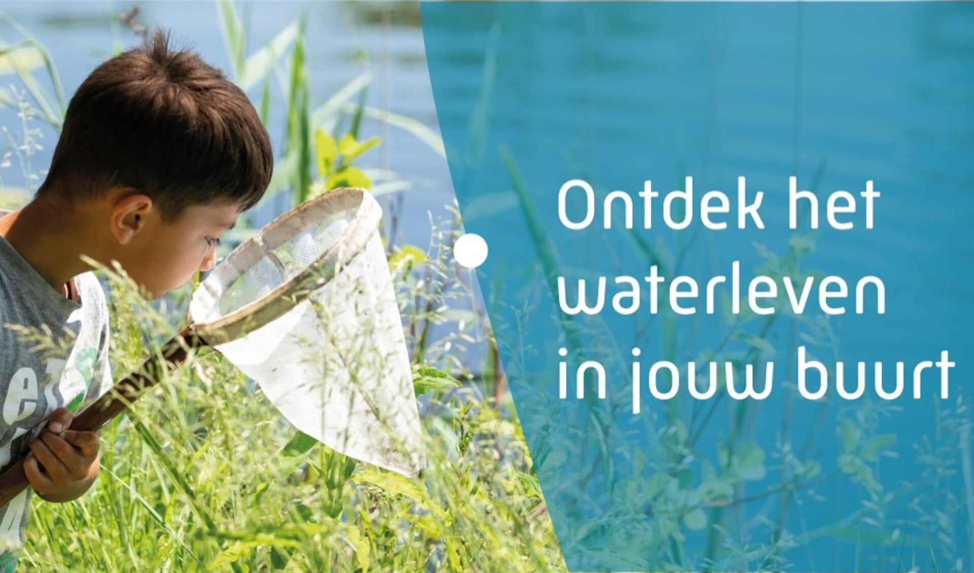 Ontdek het waterleven in jouw buurt.