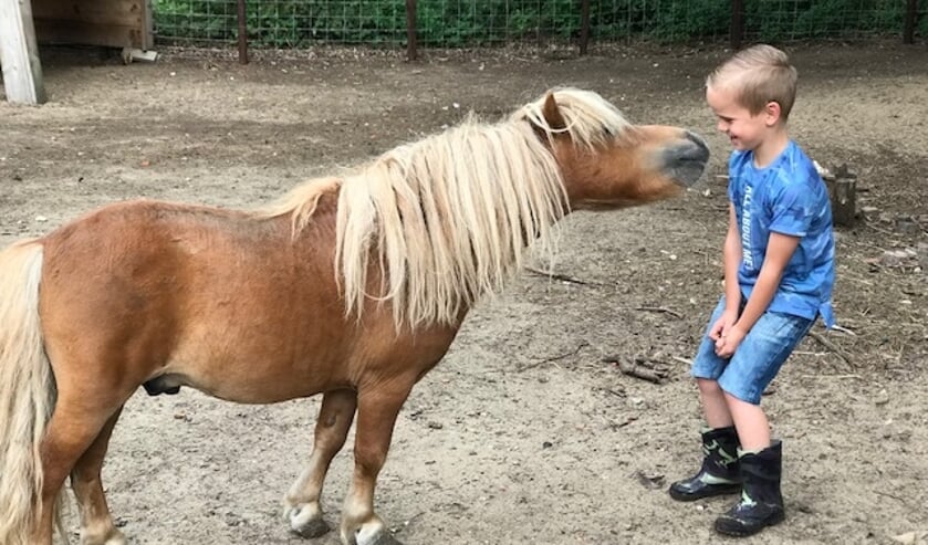 Er is zaterdag weer vertier voor iedereen op de jarige Kinderboerderij in Gennep.