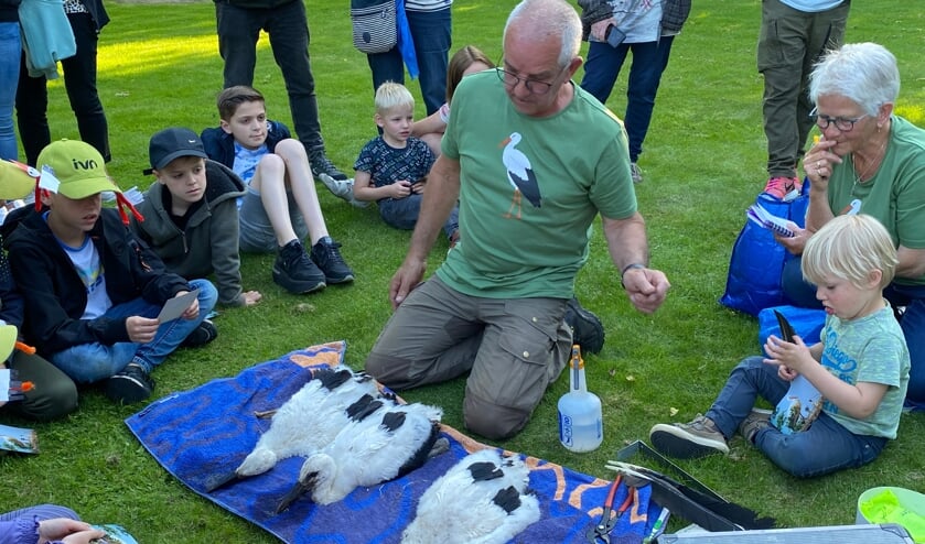 Leo Danen checkt de ooievaarsjongen en doceert de aanwezigen over het kroost. (Tekst en foto: Jos Gröniger)