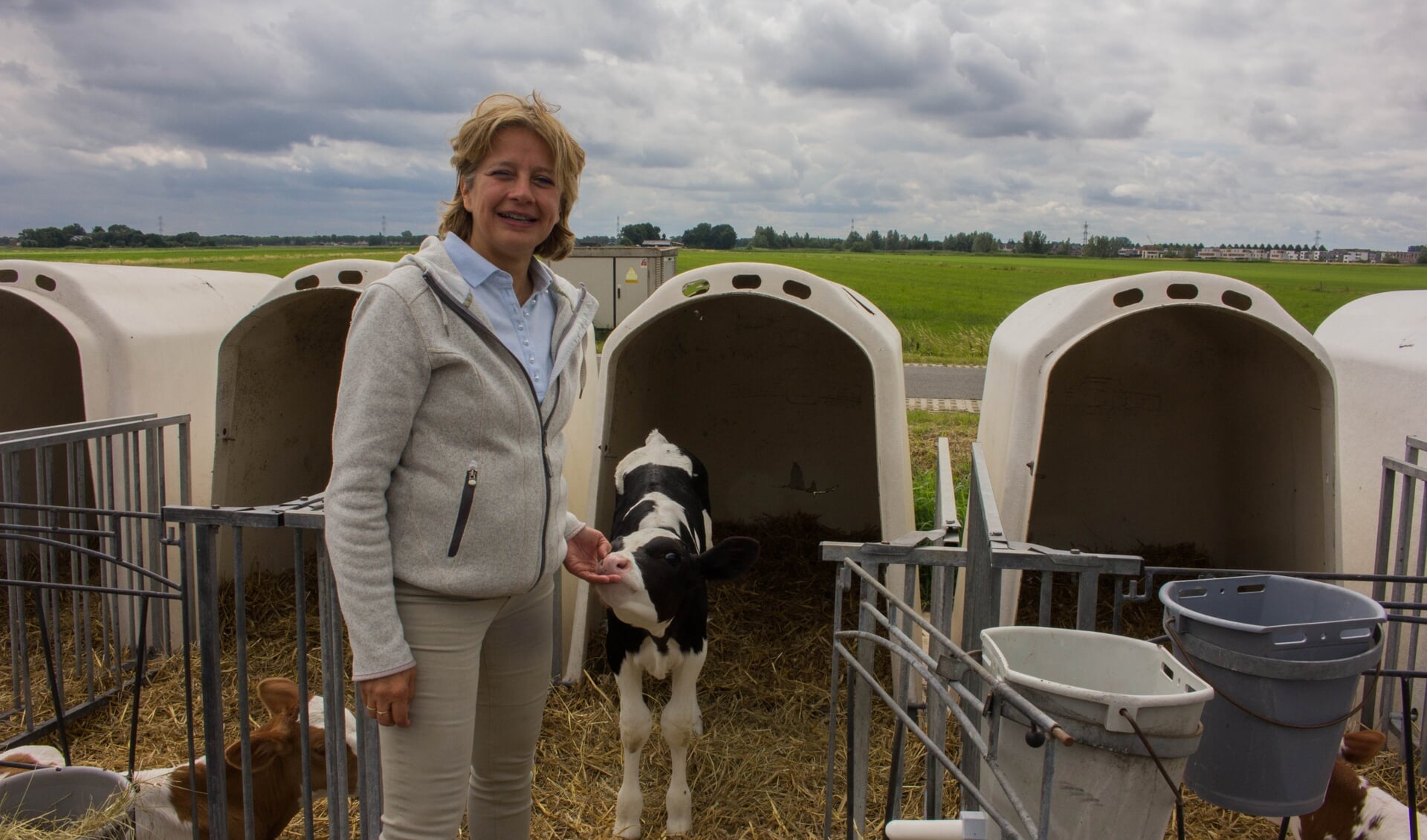 Ingrid van Zwambagt heeft samen met haar man een melkveebedrijf. Zoals bij veel andere boeren, hebben de stikstofmaatregelen ook op hen veel impact. "Het voelt onmenselijk en er komen veel emoties bij kijken."