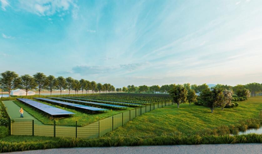 <p>Impressie van de ecologische zonneweides in Oijen.</p>