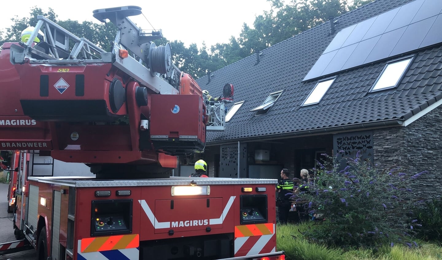 Afbeelding