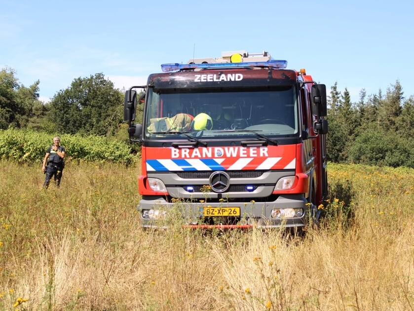 Afbeelding