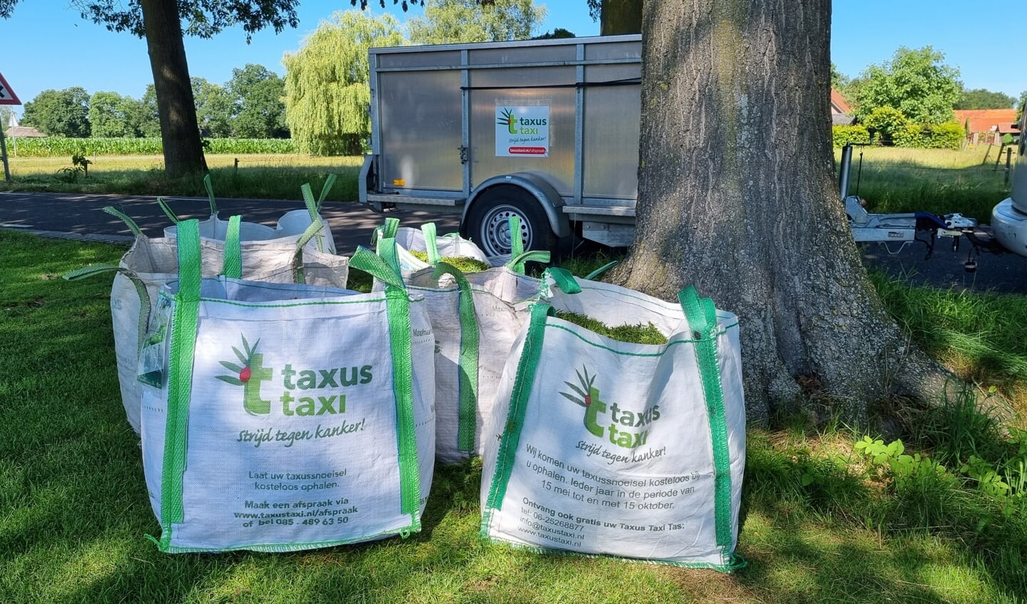 Taxus Taxi Tassen en aanhanger
