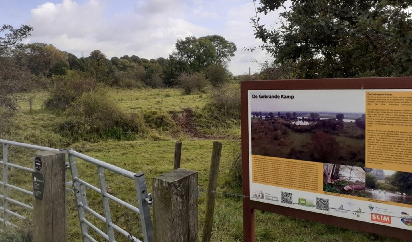 Wandelen met Verhalen trekt zondag naar De Gebrande Kamp tussen Milseek en Middelaar.