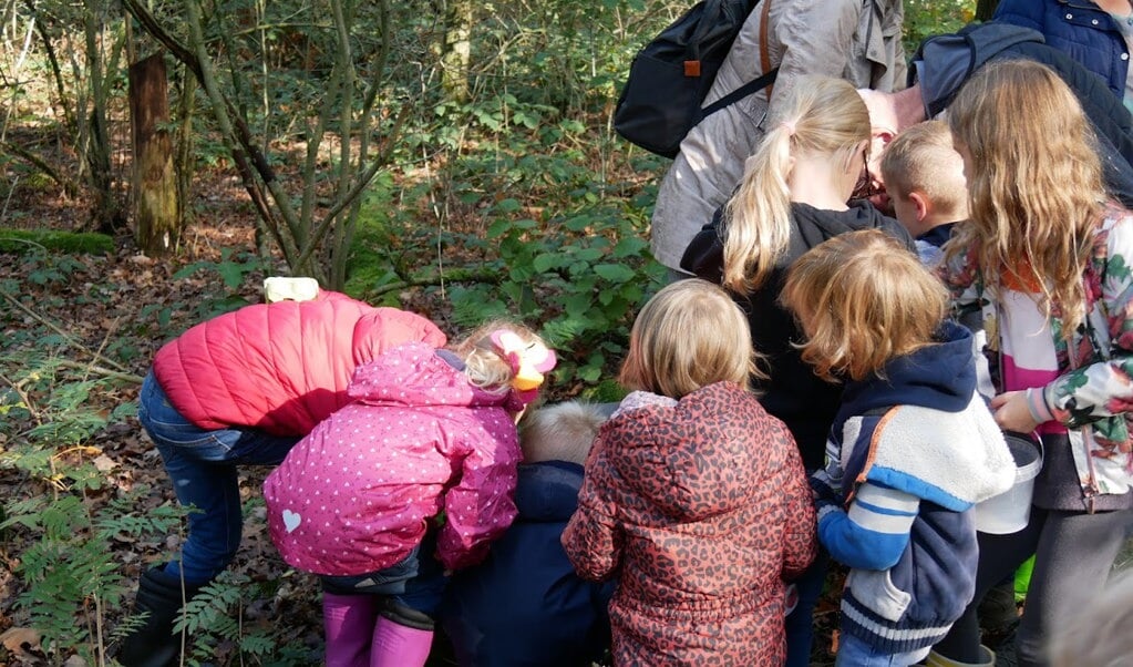 Herfstwandeling Met Scharrelkids IVN Uden - Adverteren Uden | Udens ...