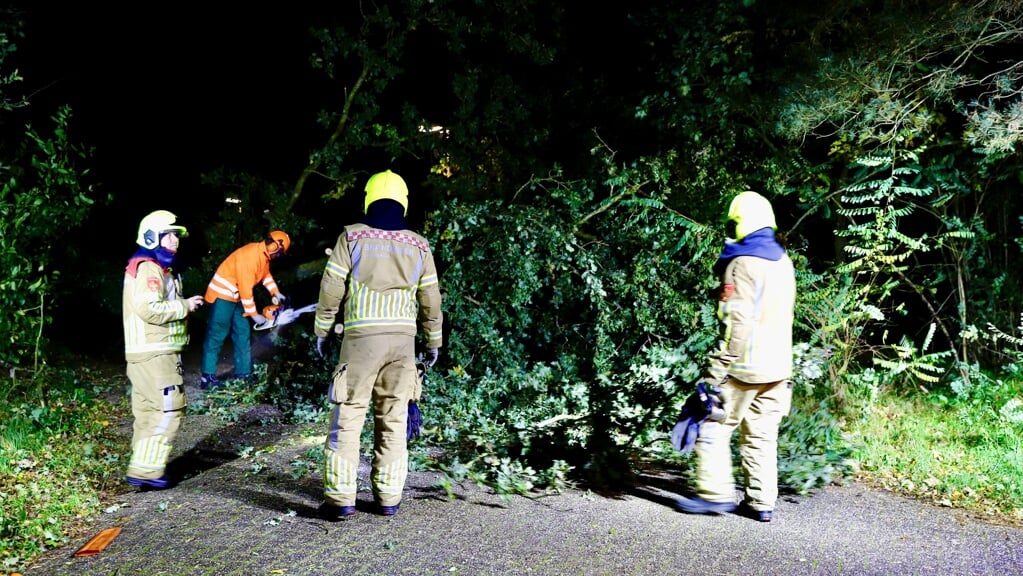 Boom Omgewaaid Aan De Augustinus In Gennep - Adverteren In Boxmeer ...