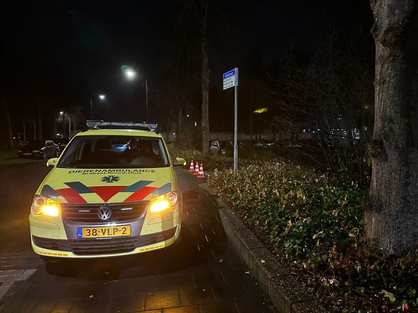 Udense Brandweer Rukt Uit Voor Woningbrand Aan Abdijlaan - Adverteren ...