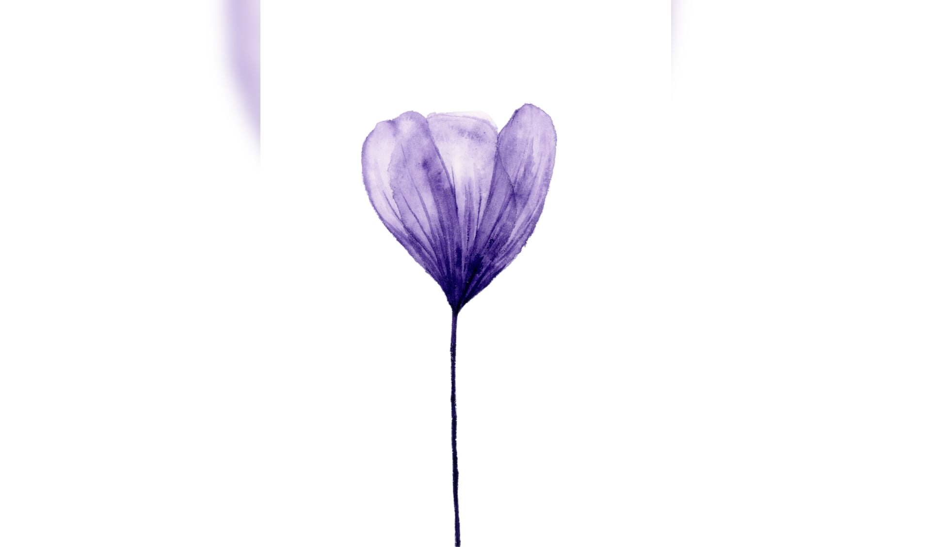 Purple Flower van Nina de Laat.