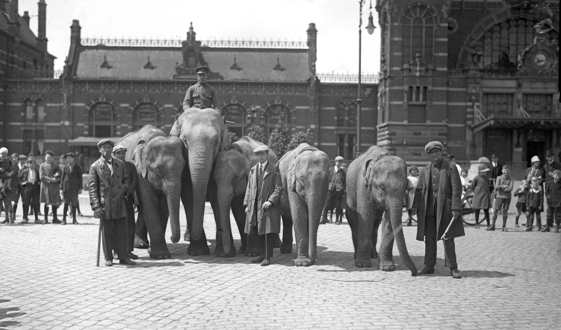 De olifanten van Circus Hagenbeck en hun begeleiders poseren bij aankomst voor het station. 