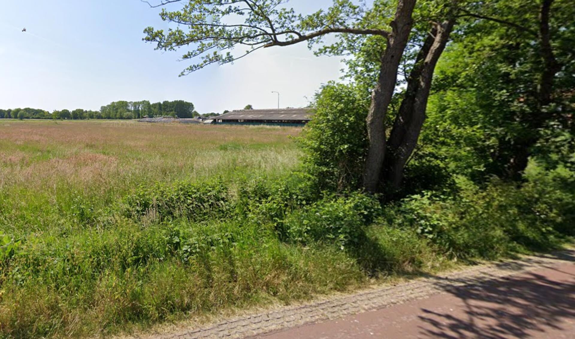 Afbeelding