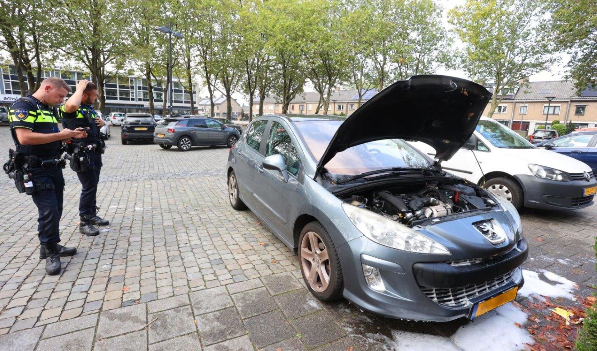 De brandweer van Den Bosch is zondagmiddag rond 14.50 uur in actie moeten komen voor een autobrand aan het Rivierenplein in Den Bosch.