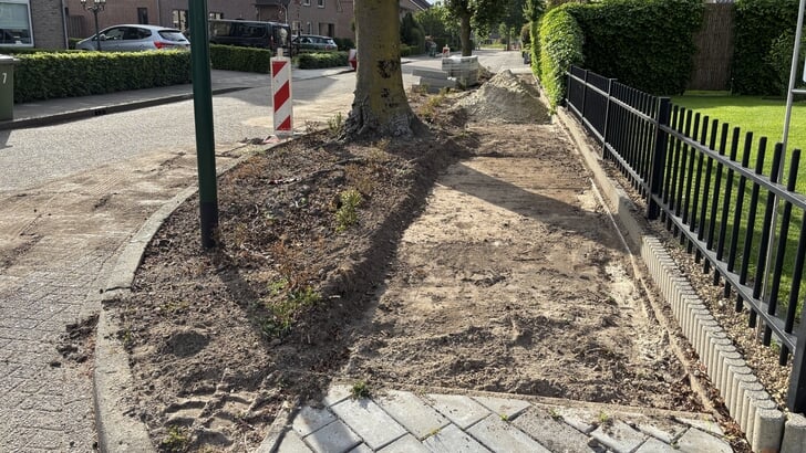 Het trottoir aan de Nachtegaalstraat in Mill wordt hersteld, mét behoud van de bomen.
