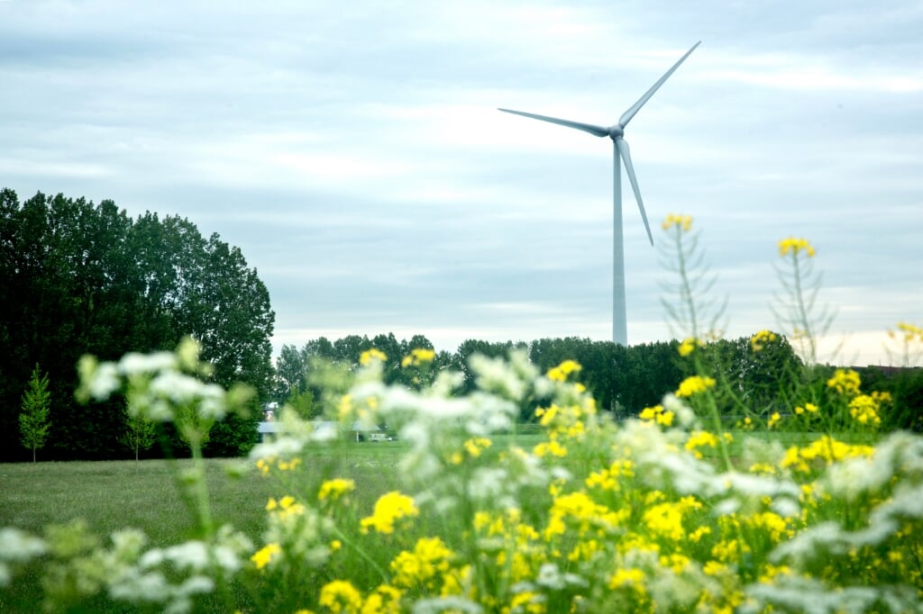 Het kan zijn dat windparken en zonneweiden, die wel een vergunning maar nog geen aansluiting hebben, niet aangesloten kunnen worden op het elektriciteitsnetwerk in de provincie Brabant.