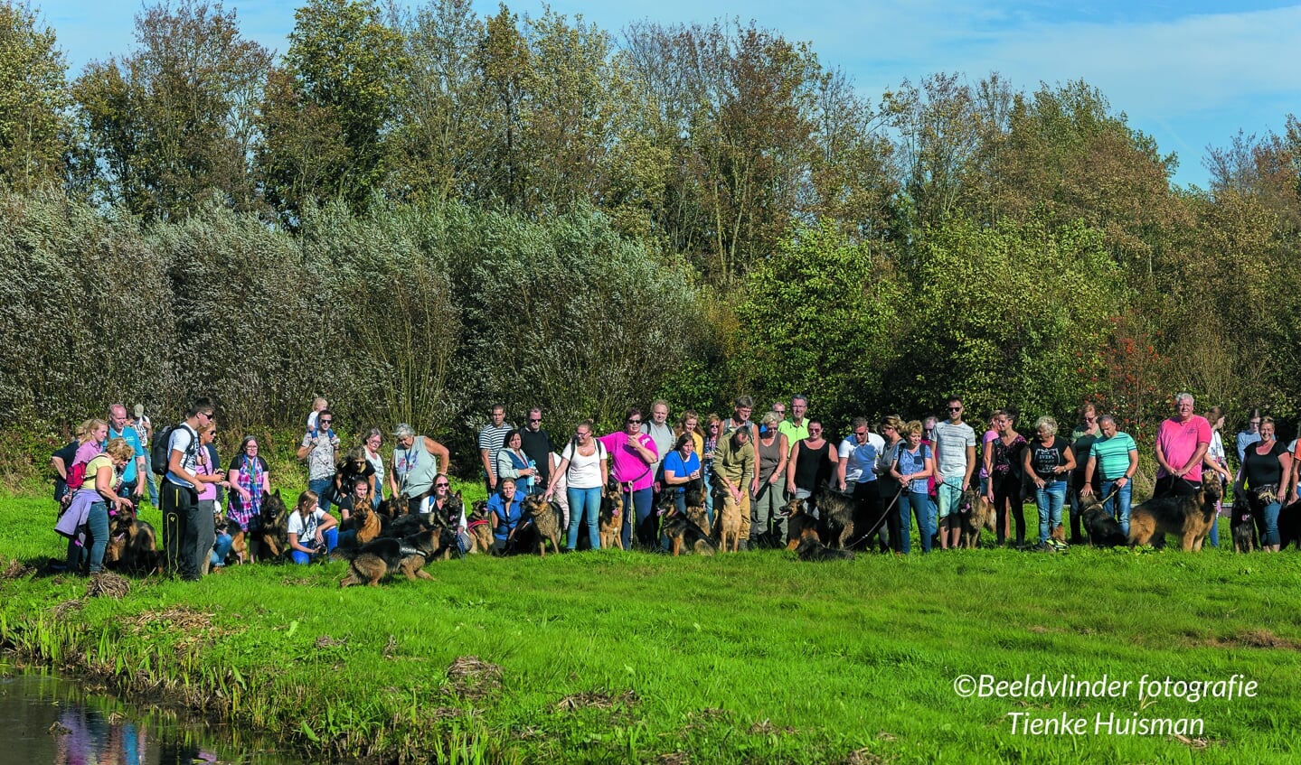 De Landelijke Duitse herder Wandeling in Reeuwijksehout. Beeld: Beeldvlinder fotografie Tienke Huisman