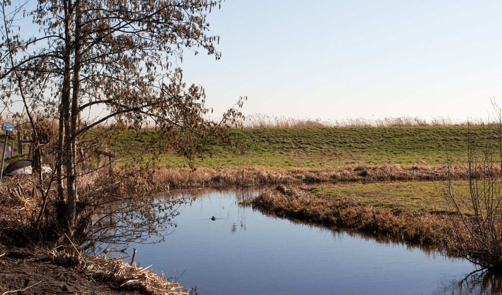 Bij de Prinsendijk is de bodemdaling van de polder Oukoop goed zichtbaar. Beeld: Bert Verver