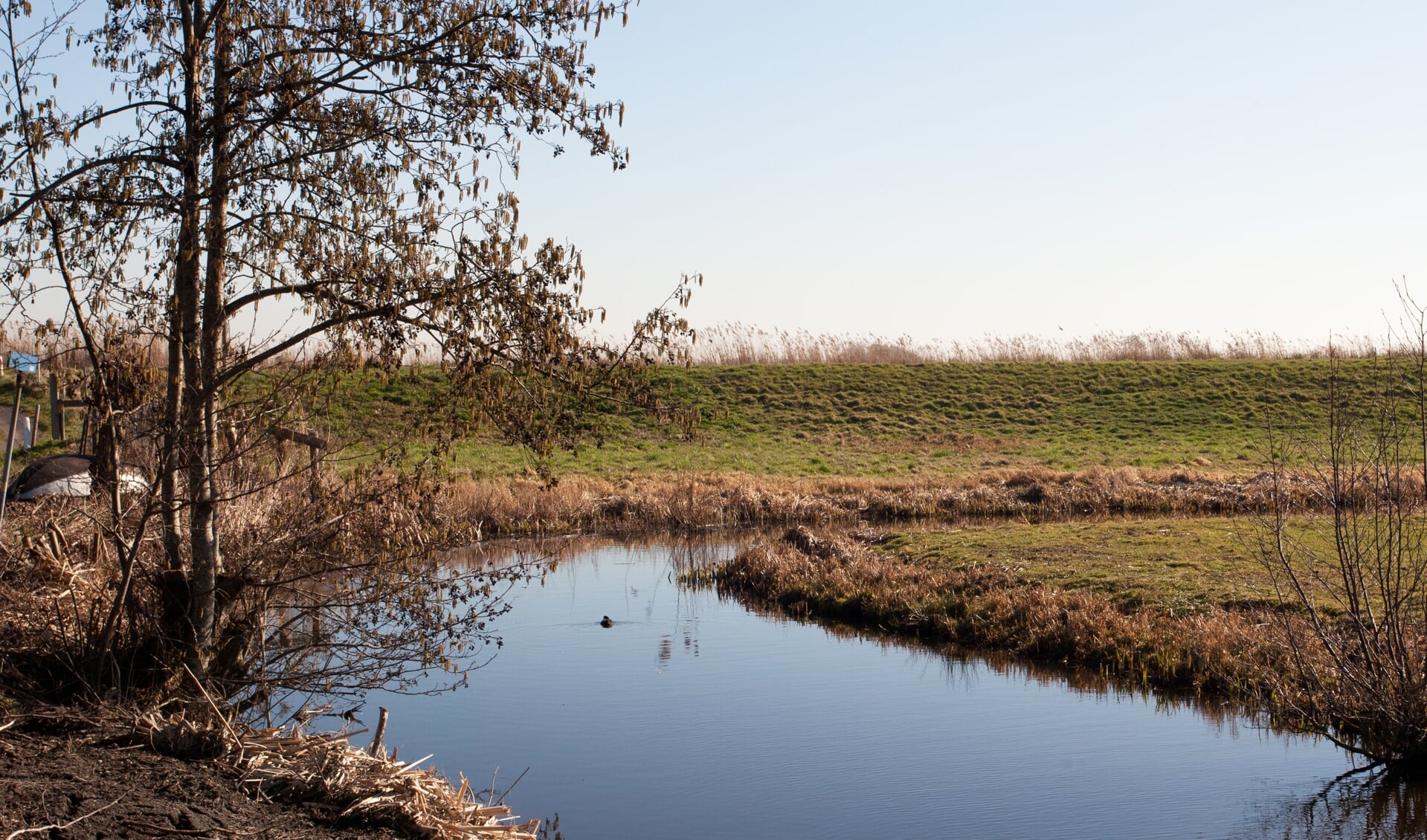 Bij de Prinsendijk is de bodemdaling van de polder Oukoop goed zichtbaar. Beeld: Bert Verver