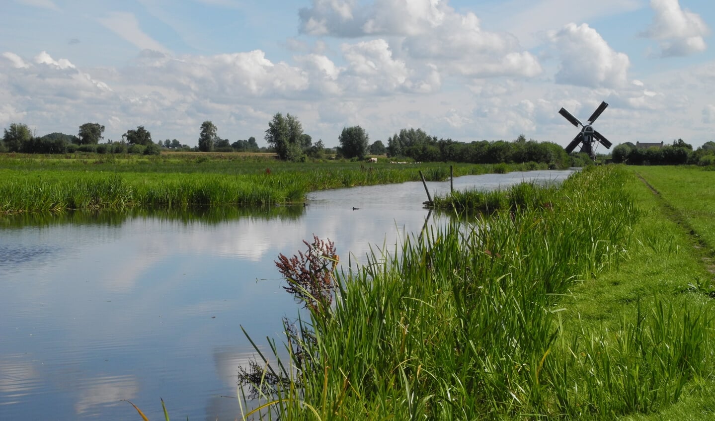 De otter is gespot bij Oukoop