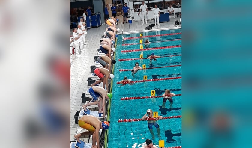 start, Bjorn is de middelste zwemmen, blauwe zwembroek en witte badmuts