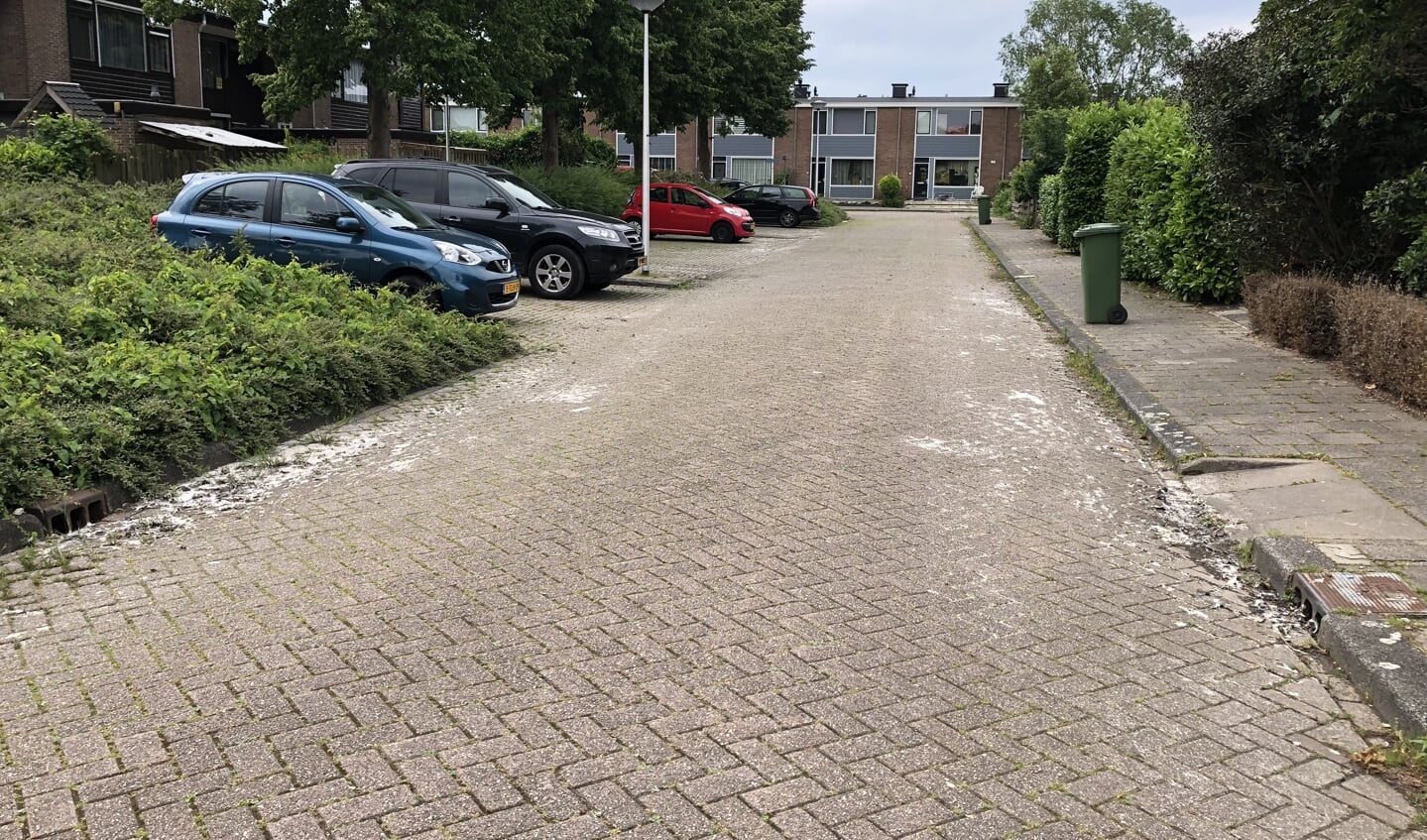 Vuil aan weerszijden van de Erasmusweg