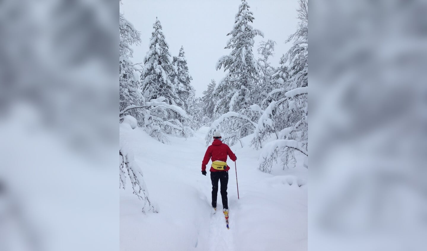 Marjorie trekt haar eigen langlaufspoor door het bos in Noorwegen.