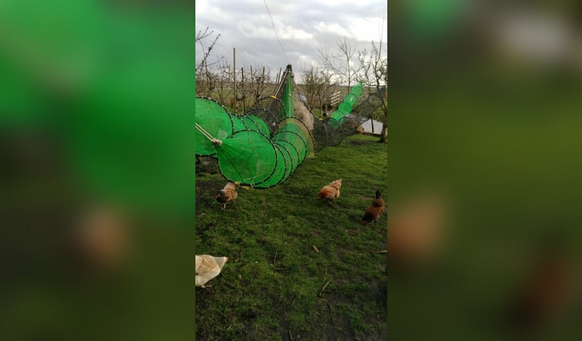 De fuiken hangen te drogen.