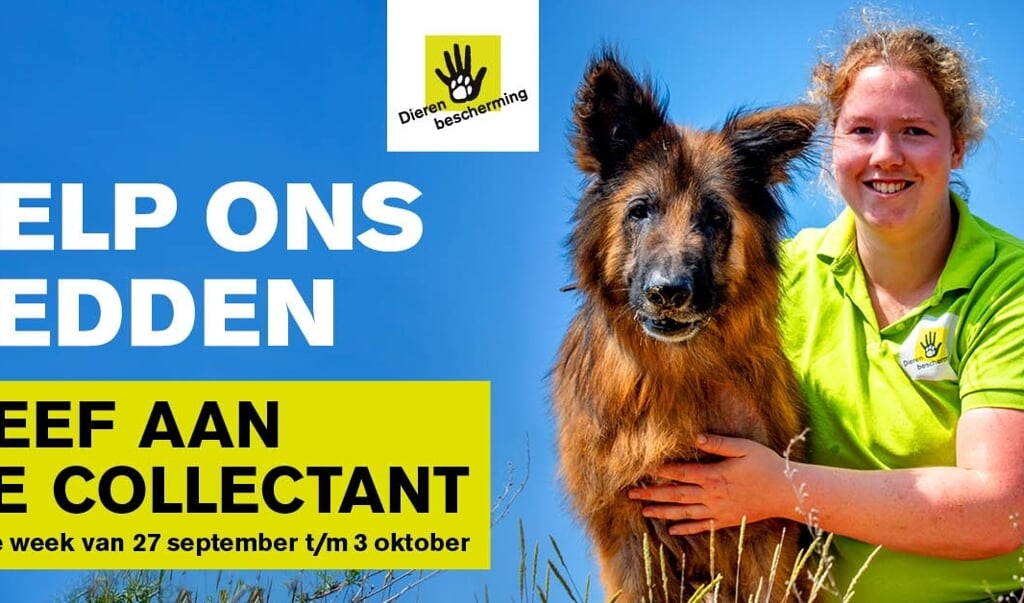 Collecteweek Dierenbescherming Deze Week Van Start - KOBR: Het Nieuws ...