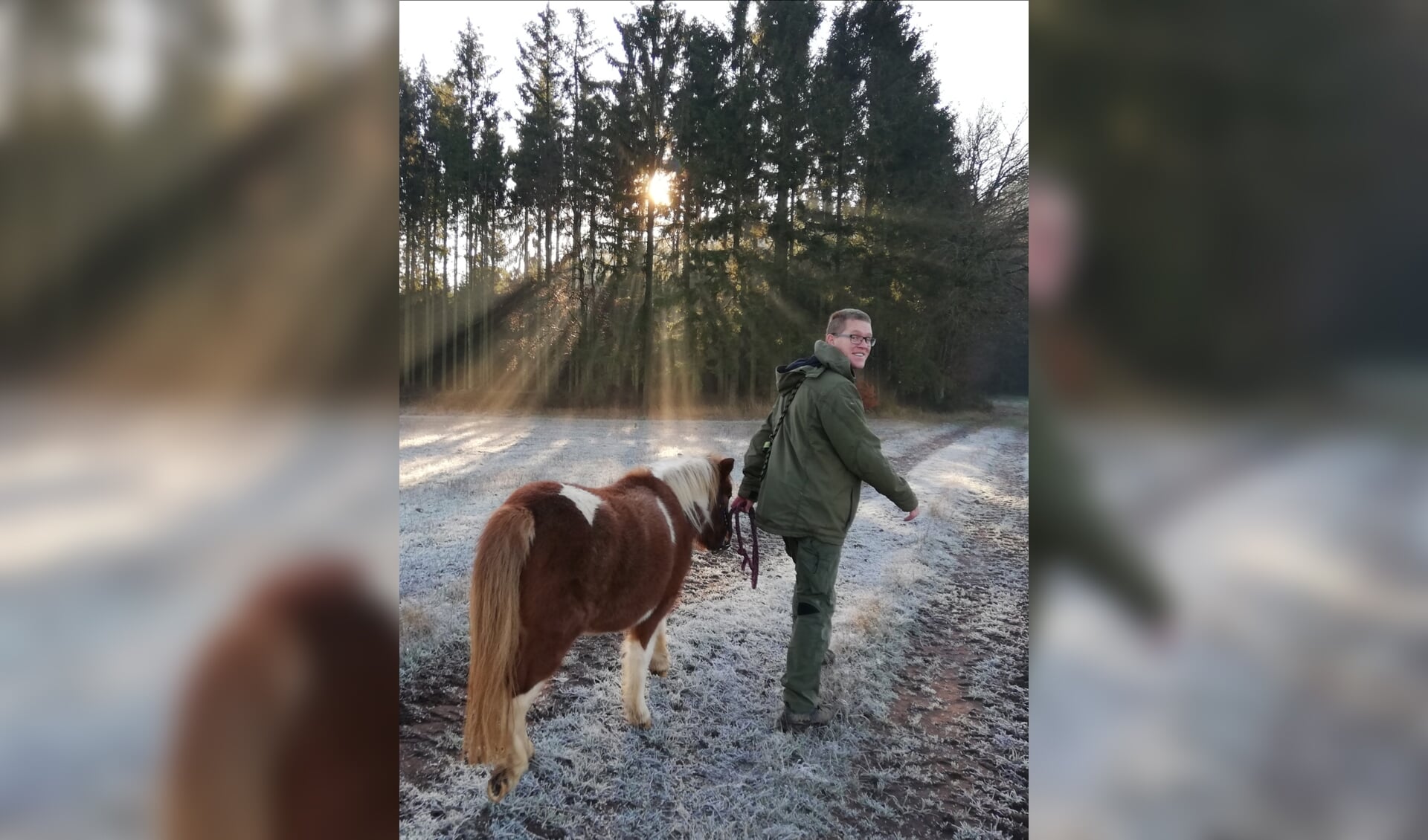 Iwan maakt een wandeling met een van de paarden.