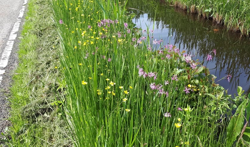 <p>Zorgvuldig maaibeheer ten behoeve van het verkeer en de ecologische waarde van de berm (Zoetendijk, Reeuwijk).</p>