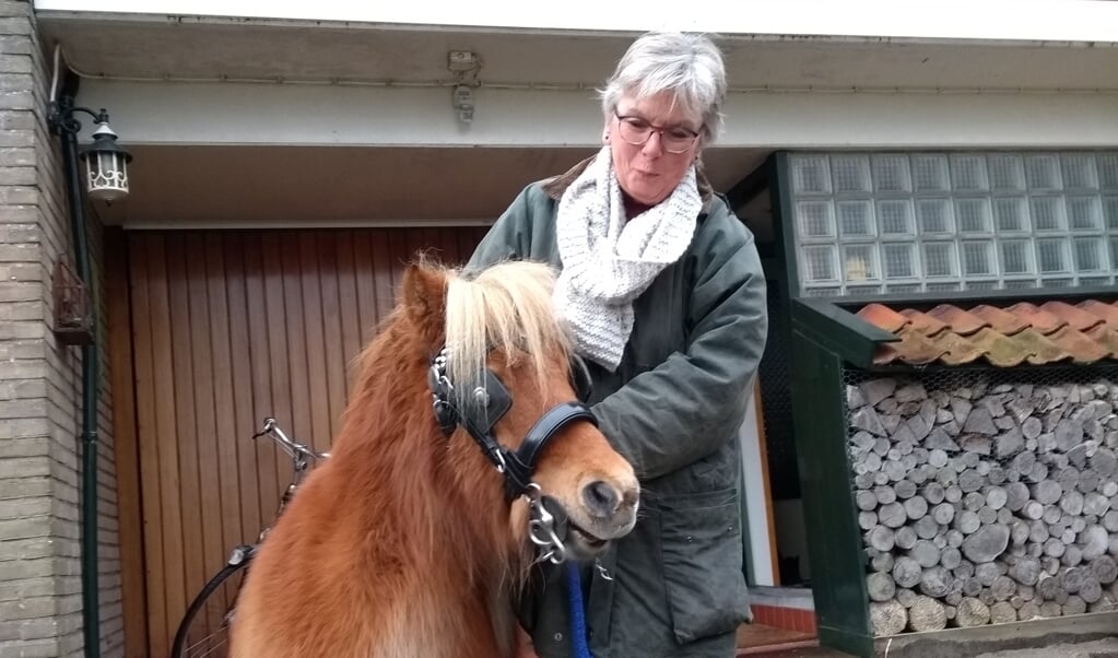 Helma Verhoef met haar shetlander Desi.