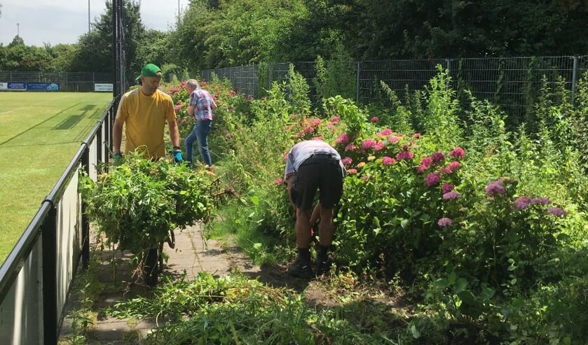 De uitgelopen bosschages moesten eraan geloven bij Rohda’76. Beeld: Ad van den Herik