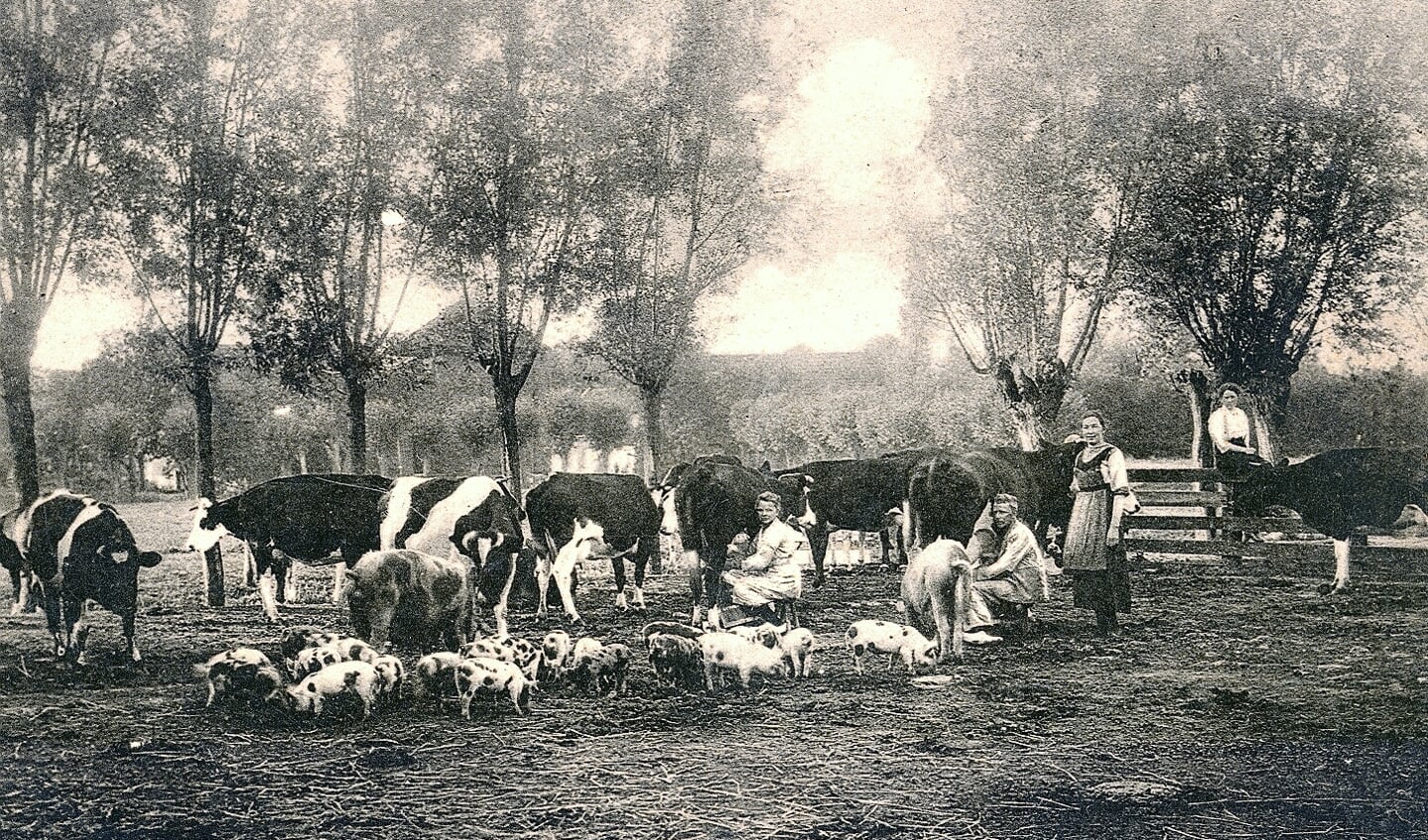 Afbeelding